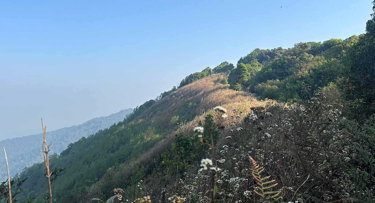 South East Asia
Chiang Mai Thailand
Doi Pha Hom Pok National Park